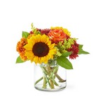 Flannel Scarf Bouquet from Olney's Flowers of Rome in Rome, NY